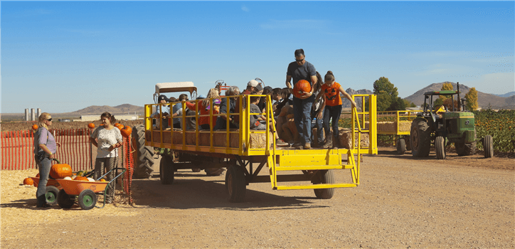 Spooky Hay Ride