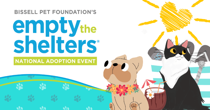 Bissell Empty the Shelters