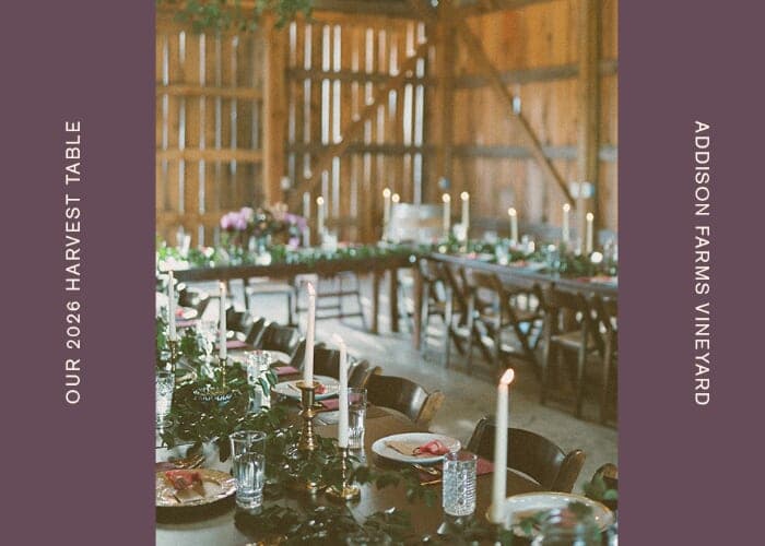 Harvest Dinner: An Evening of Appalachian Flavor at Addison Farms Vineyard