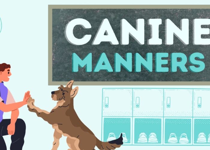 Canine Manners Dog Training