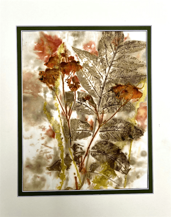 Eco-Printing: Making Prints Using Leaves and Flowers Session #1