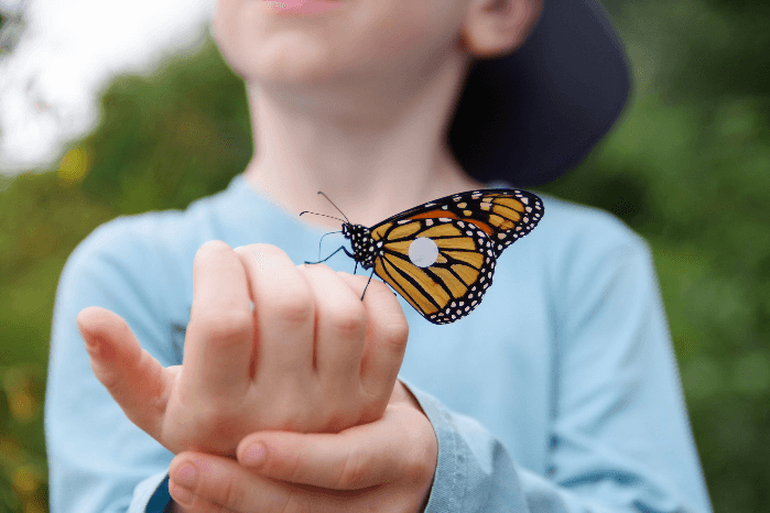 Monarch Butterfly Day