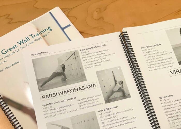 Great Yoga Wall Level 1 Training
