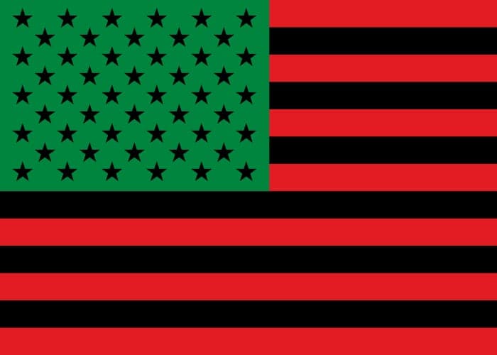 Black Asheville Town Hall - City Council (Part 2)