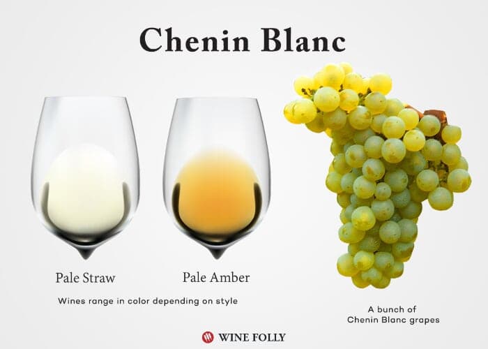 Chenin Blanc Class & Tasting