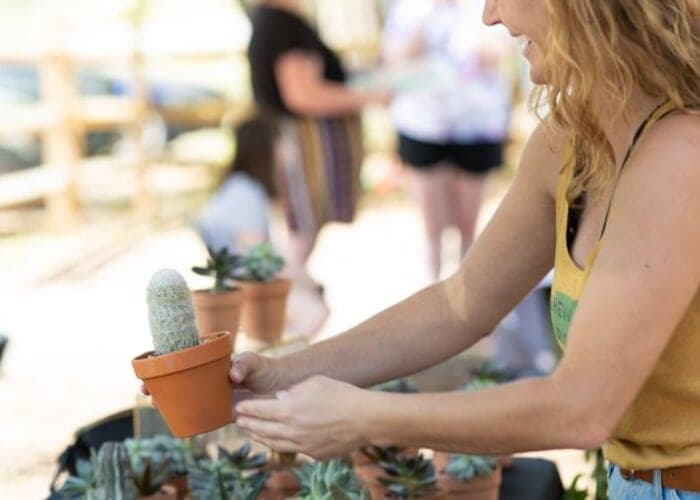 Highland Market Series – Spring Market