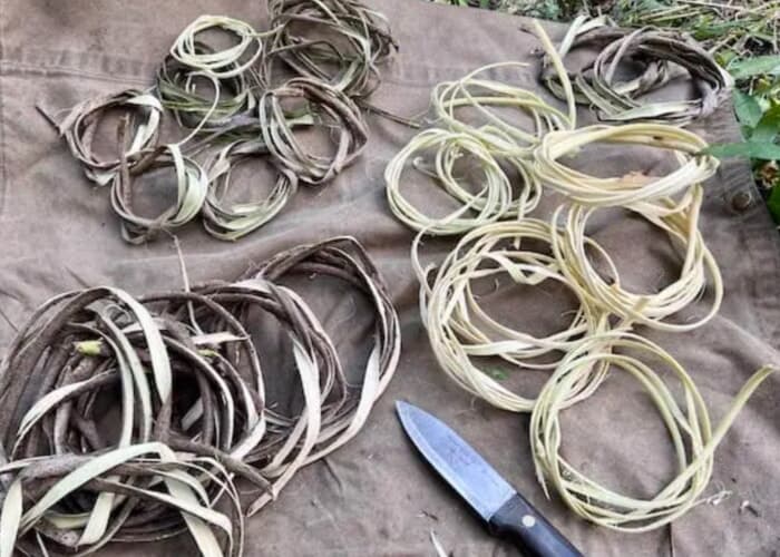 Kudzu Basket Weaving w/ Carleigh Fairchild