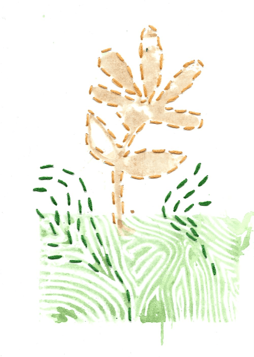 Adult Studio: Embroidery on Paper