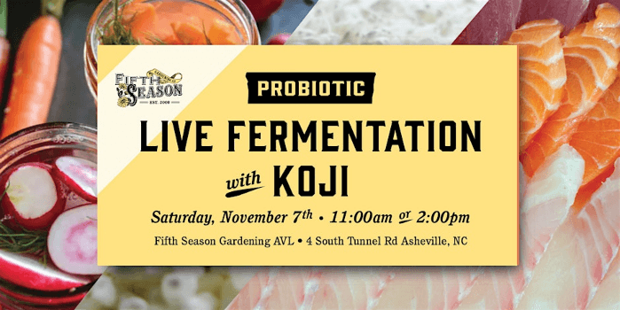 Live Fermentation with Koji: your kitchen's new secret ingredient!