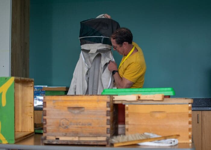 Bee School