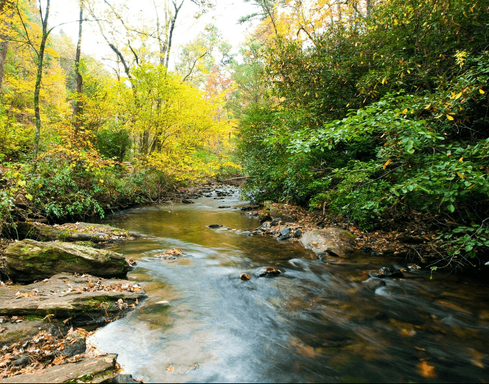 River Systems Field Class