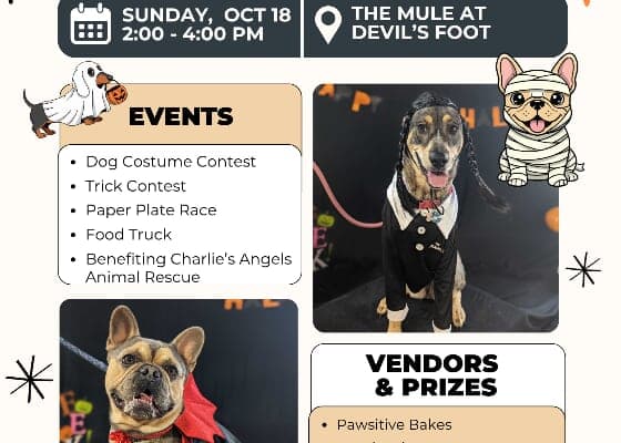 Halloween Pawty