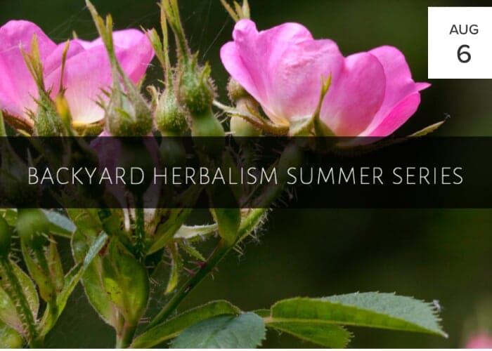 Backyard Herbalism Summer Series