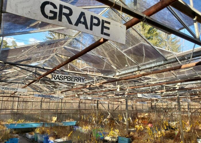 Plants for Everyone Annual Sale