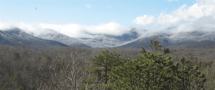 Winter Painting: Finding Beauty in the Cold Months