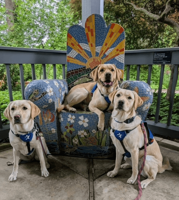 THE POTHEADS ARE COMING (AGAIN)