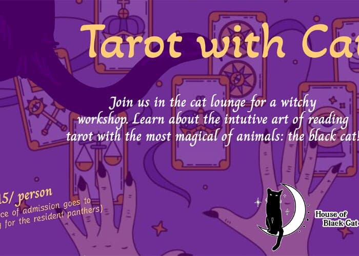 Tarot with Cats