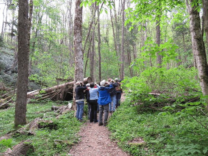Guided Trail Walk