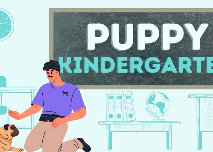 Puppy Kindergarten Dog Training