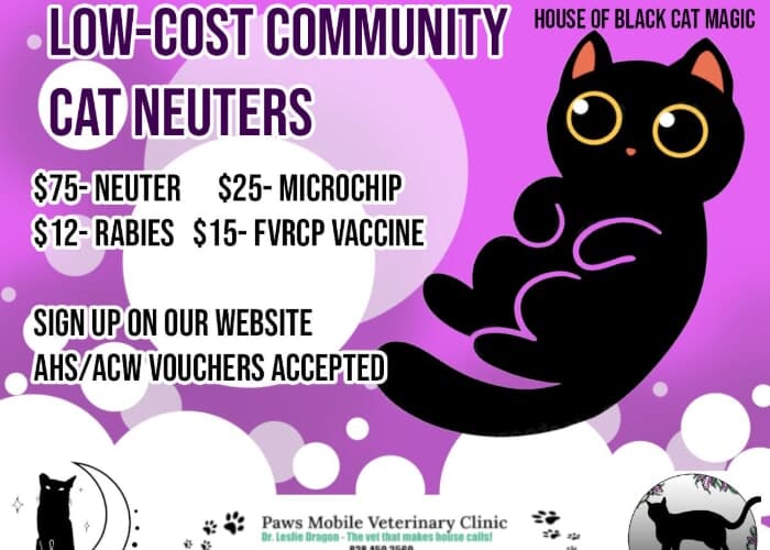 Low-Cost Community Cat Neuter Clinic