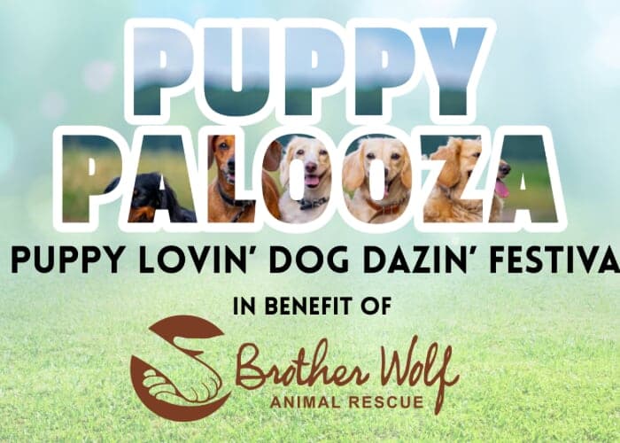 Puppy Palooza: Dog Festival Benefiting Brother Wolf