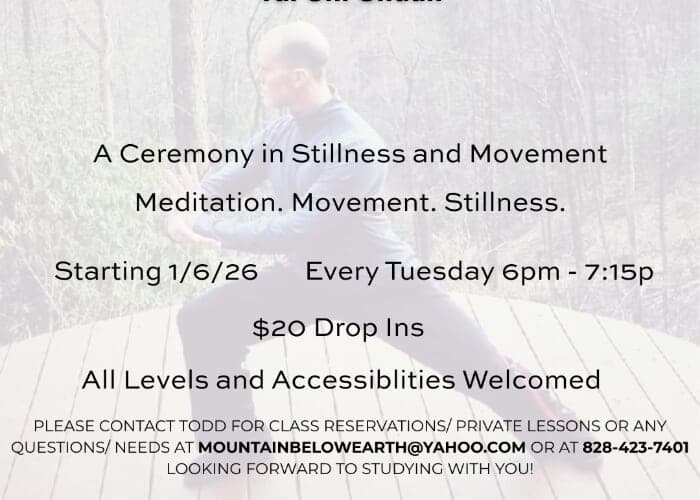 Medical Qi Gong / Tai Chi Chuan