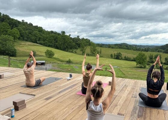 Mellow Vinyasa Yoga Among the Horses