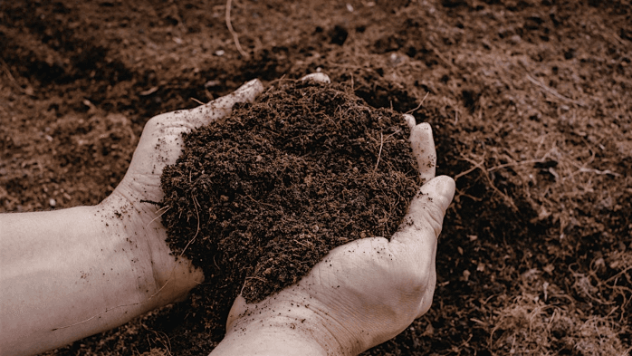 Healthy Soil for Healthy Crops