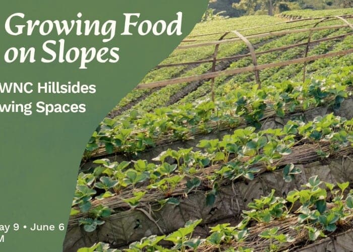 Growing Food On Slopes Gardening Classes