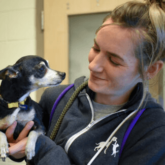 Canine Manners with Marz Barberio, CPDT-KA