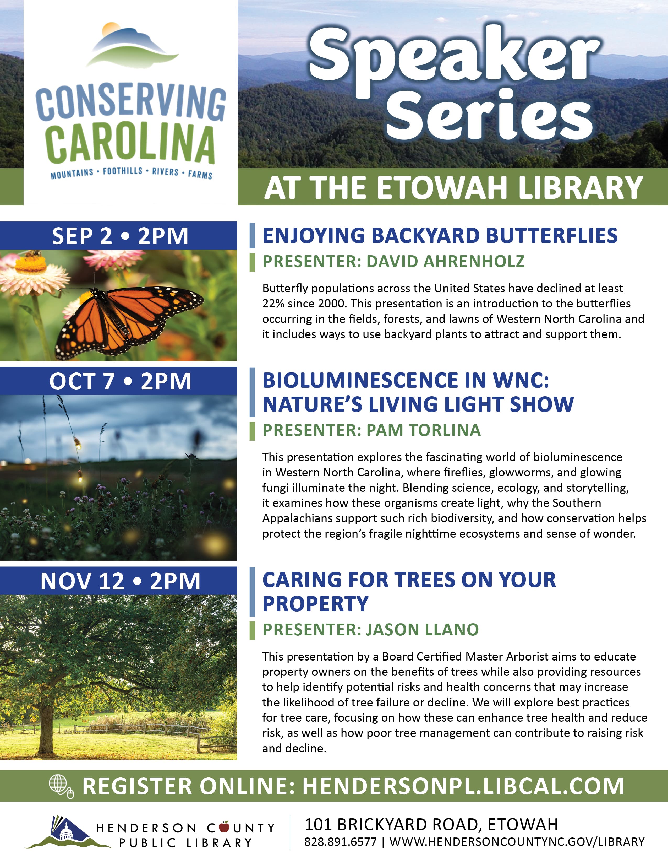 Bioluminescence in WNC: Nature's Living Light Show