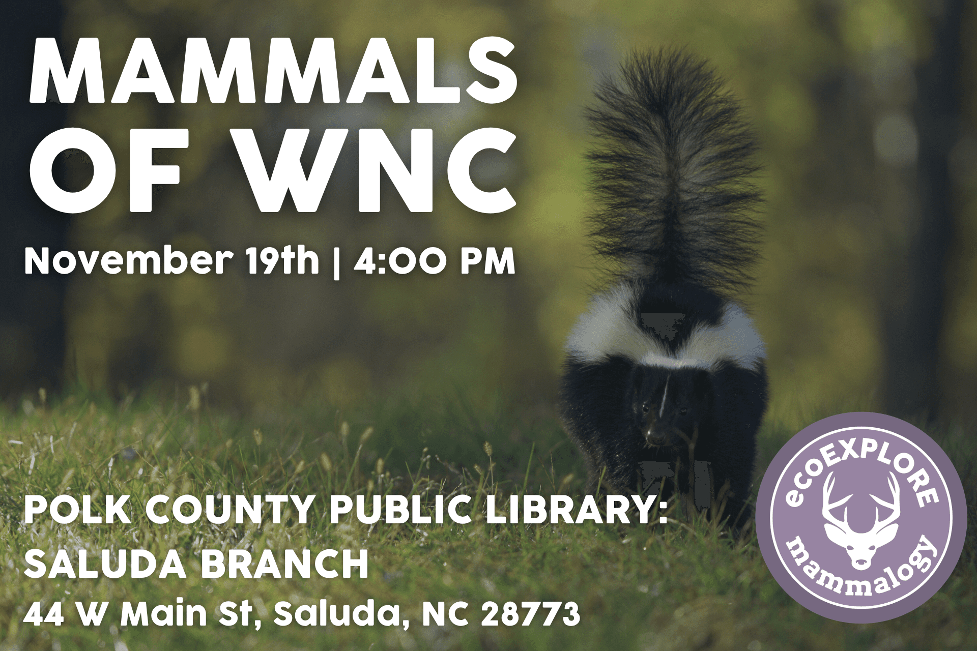 Mammals of WNC