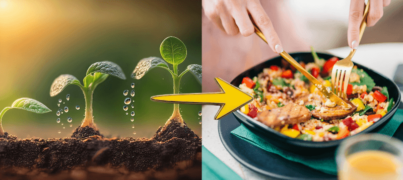 Grow What You Eat, Eat What You Grow