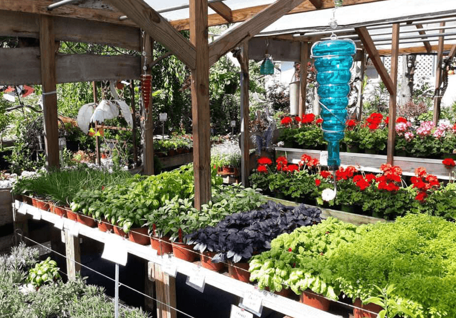 Asheville Spring Herb Festival