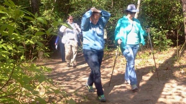 NC Arboretum Walk: Gardens, Trails, & Paths along a Stream