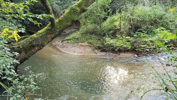 Big Berea - Bull Creek - River Trail Reverse Lollipop