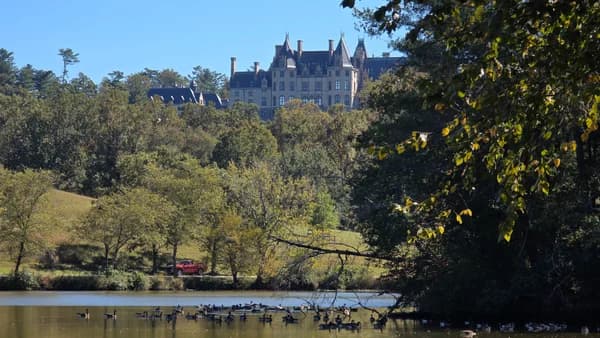 Biltmore Walk
