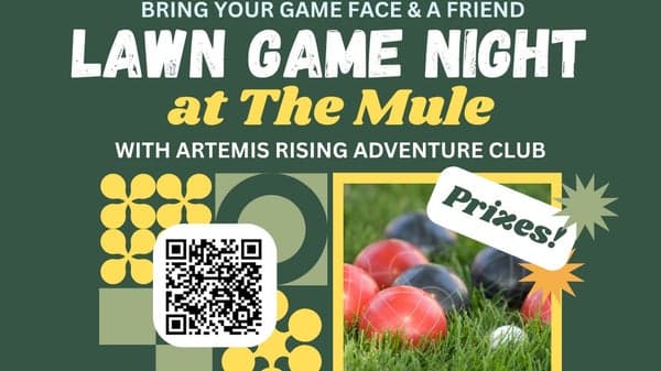 🎯 Lawn Games Tournament 🎯