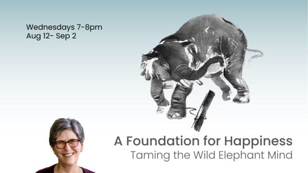 A Foundation for Happiness: Taming the Wild Elephant Mind