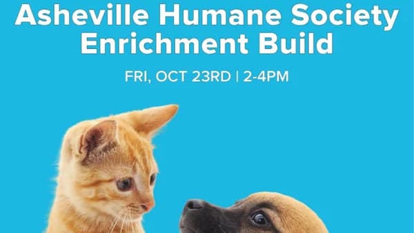 AYPROS Leadership & Service: Asheville Humane Society Enrichment Build
