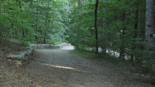 NC Arboretum easy trails walk