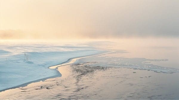 AMC Sunday Ecstatic Dance Waves w/ Mikaya