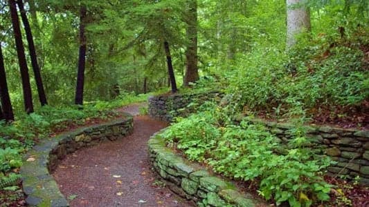 Astrological Plant Walk