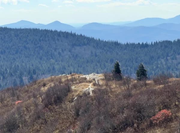 Rescheduled Thanksgiving Day Hike
