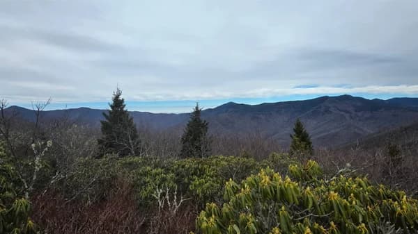 Upper West Ridge Hike - 9 Miles