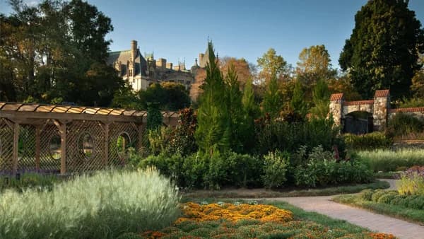 Nature’s Comfort/ For Widows/Widowers - Biltmore Estate