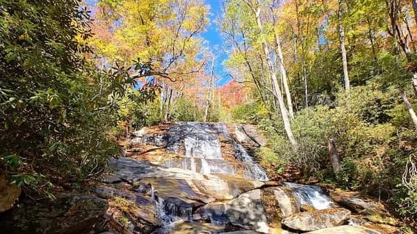 Cove creek hike