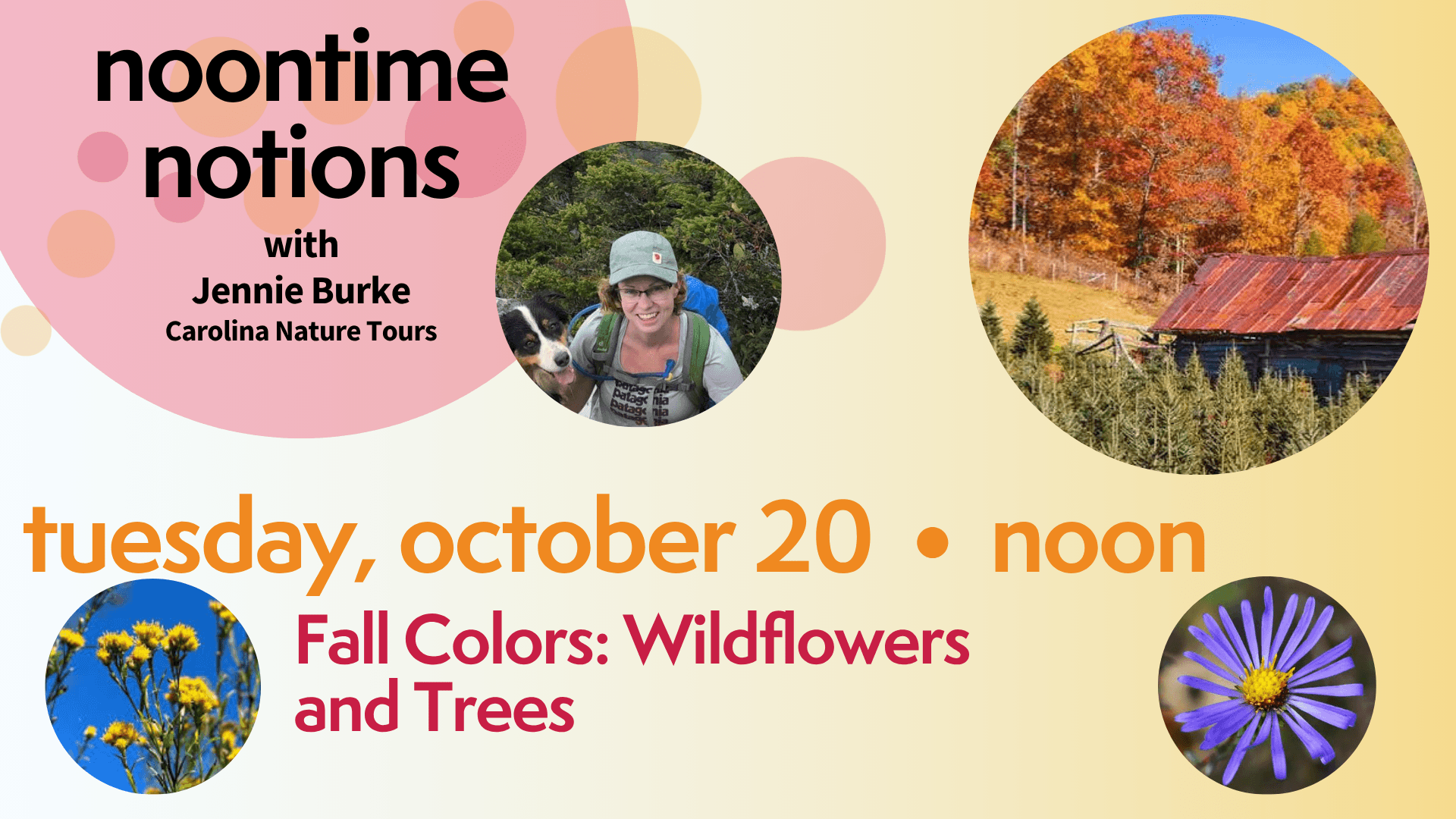 Noontime Notions: Fall Colors