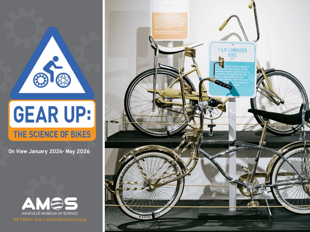 Gear Up: The Science of Bikes