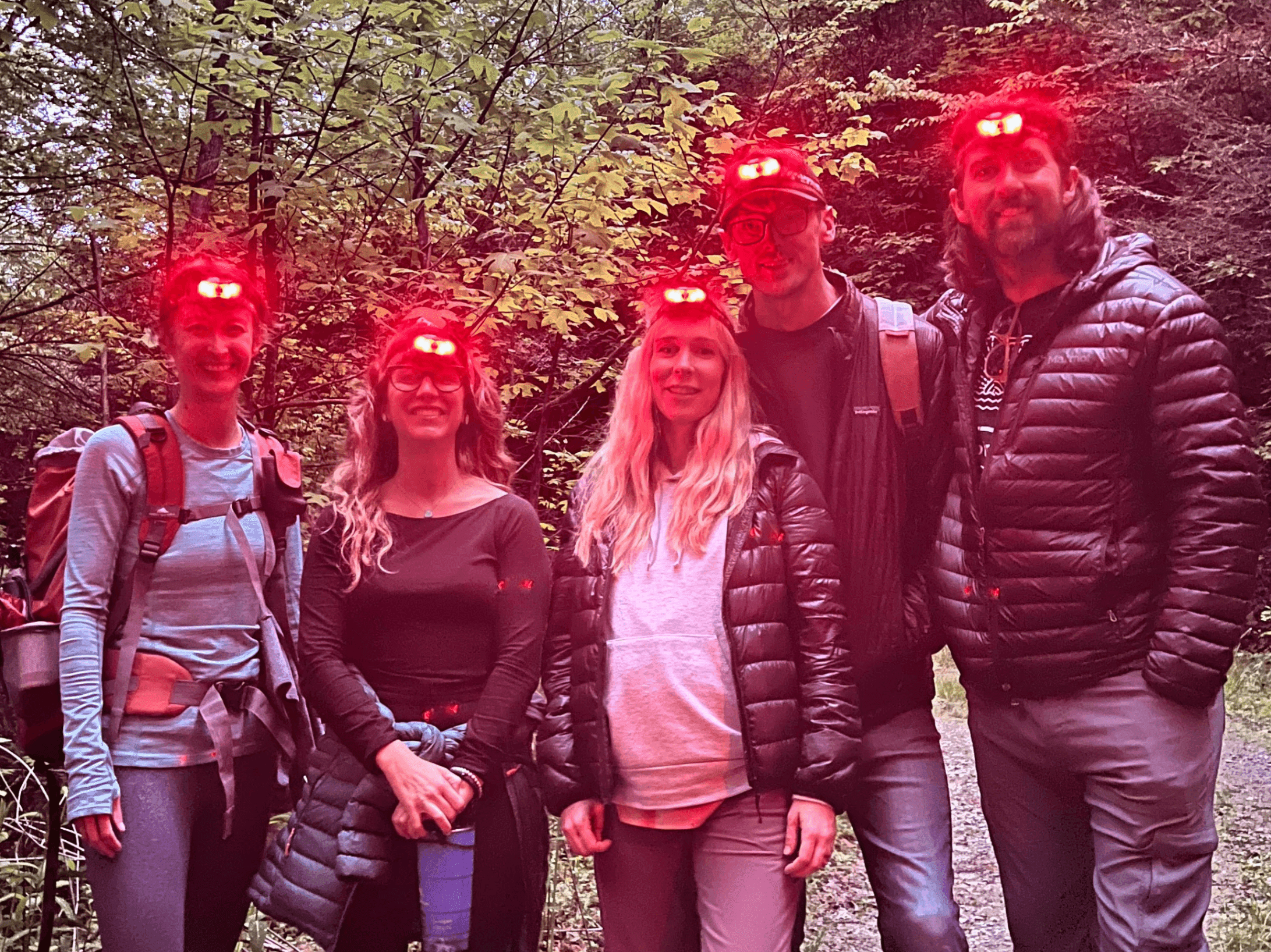 Blue Ghost Firefly Night Hike